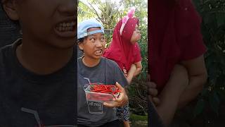 Gak adek ini pedas  ini 🌶️ #short