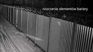 Próba nielegalnego przekroczenia granicy