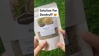 Rosemary Leaves For Dandruff | #darazshoppinghaul #unboxing #rosemary #rosemarywaterforhairgrowth