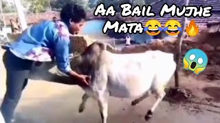 Aa Bail Mujhe Maar😂🔥