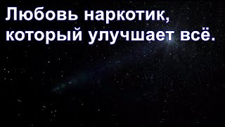 Из ниоткуда в никогда. Часть 18. Любовь наркотик, который улучшает всё. Дмитрий Гаун.