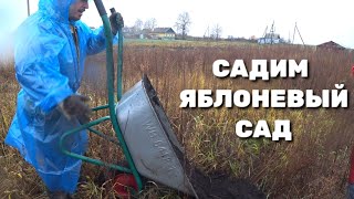 САДИМ ЯБЛОНЕВЫЙ САД