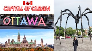 Things to do in Ottawa | Ottawa Vlog