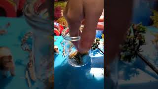 Piggy terrarium a tiktok port