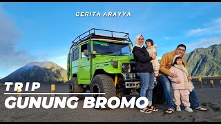 ROAD TRIP JAKARTA BROMO DENGAN BALITA | WISATA GUNUNG BROMO | LIBURAN KELUARGA