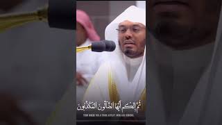 SO Beautifull And  Stress Reilieving Tilawat clip#quran #status #youtubeshorts #shorts #trending #4k