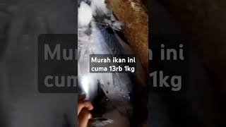 Yok ikan murah meriah🤤🤤 #shorts #viralvideo #ikan