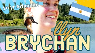 Vlog dysgu Cymraeg: LLYN BRYCHAN 🦆 (Sylfaen)