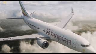 Ethiopian Airlines Flight 302 - Crash Animation