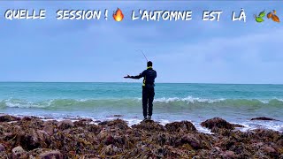 Une session que je ne suis pas prêt d'OUBLIER ! 🔥 ( Pêche du Bar depuis les côtes rocheuses )