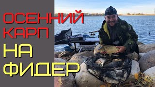 Карпы и караси на фидер осенью. Тренировка перед турниром.