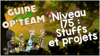 GUIDE OP'TEAM : Niveau 175, futurs stuffs et projets !