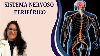 Sistema Nervoso Periférico