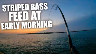 Early MORNING Hot Summer Striped Bass - Long Island South Shore with Whales Breaching!!