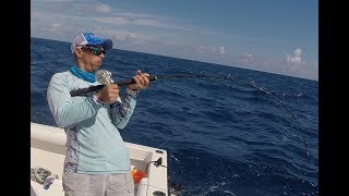 Big Black Grouper battle