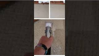 Carpet cleaning, stain removal, Captain Rug Wash #asmr #cleaningcarpet #cleaning