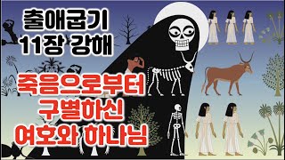 [출 11장] 죽음으로부터 구별하신 여호와 하나님, 출애굽기 11장 강해