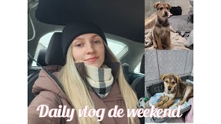 Vlog de weekend: Am vandut masina |Va prezint un nou membru | Ce am luat de la Side?