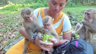 Old clip mom KT give milk & lotus fruit  for baby Angela & others. everyone really miss mom so much