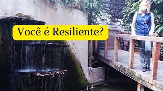 Você é Resiliente? Você sabe o que é Resiliência?