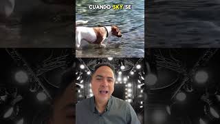 MIRA el vídeo de este perrito 🐶🤯😳#cristo #jesus #shorts #shortsfeed #fyp #short