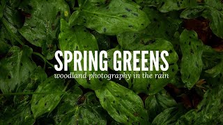 Spring Colours and Sounds of Nature | A chilled rainy afternoon of photography in the New Forest