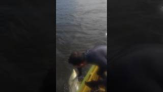 Tainha, Paru, Robalo, Tarpon. Pesca sub