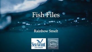 Fish File  - Rainbow Smelt