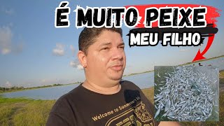 OLHA O QUE PESCAMOS NO LAGO AZUL - RORAIMA #asmr #fish #fishing