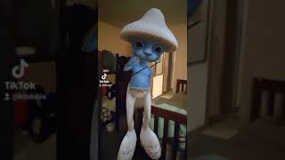 Smurfcat meme #shorts #smurfcat