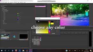 filter in adobe premiere