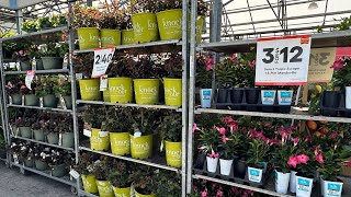 NEW ARRIVALS Lowes Garden Center Inventory May 2024🌸Lots of great sales🤑🛒