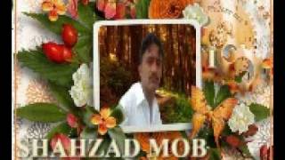 AMEER NAWAZ KHAN SONGS 2011 O RABA TAIN Q LAKHIAN(MALIK SHAHZAD)