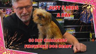 Calm Through Fireworks: Train Your Dog in Just 60 Days