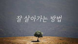 숨 막히는 삶에서 잠시 벗어나고 싶다면 꼭 보세요