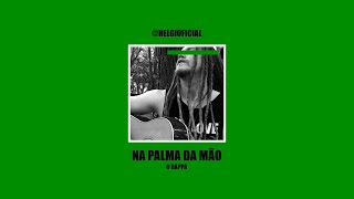 Na palma da mão - O Rappa ( Helgi cover )