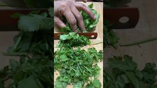 Fruit Ninja of CORIANDER | Amazing Fruits Cutting Skills | Indian Street Food in 2023 #shorts #food