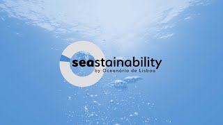 SEASTAINABILITY | Programa de Formação Corporate by Oceanário de Lisboa