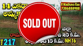 Ramayapatnam Port | Farm Land For Sale | 14 Acres|Gudluru |NH 16 | #MedhanshiRealEstate |  MRE - 217