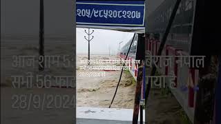 Kosi Barrage पर नेपाल से आ रहे जलप्रलय को देखकर आप डर जाएँगे आप | Kosi Flood 2024 | Way4Uकोशी ब्रिज