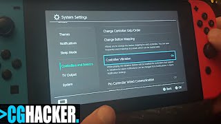 How to Turn on / Turn Off Vibration in Nintendo Switch?