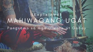 Mahiwagang ugat | pangsamo ng Diwata at Gabay | Palo santo ng mga Babaylan at Diwataan.