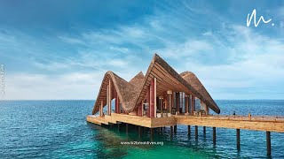 Joali Maldives - B2B Maldives | World's Top Leading DMC for Maldives