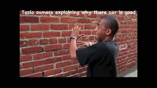 Tesla owners explaining their car is good