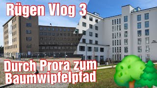 Durch Prora im März 2024 hin zum Baumwipfelpfad - Rügen Vlog 3 #tour #outdoor #hiking #germany #trip