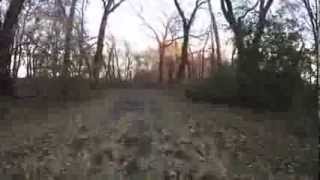 Thorn Creek Trail, from Glenwood, IL