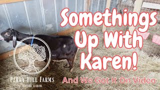 SOMETHING'S UP WITH KAREN. ARE WE KIDDING?