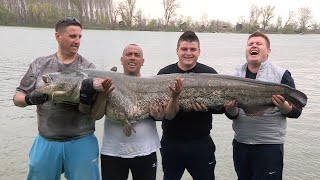 Pecanje soma i smuđa na Dunavu i Savi kod Beograda | Fishing big catfish and zander in Belgrade