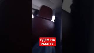 ЕДЕМ НА РАБОТУ#shorts