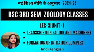 LEC-3|Bsc 3rd sem zoology|Transcription factor & machinery, Formation of Initiation complex|2024-25